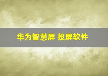 华为智慧屏 投屏软件